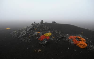 Kamchatka: A Visual Odyssey through Earth’s Fiery Heart